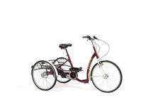 Rower trójkołowy rehabilitacyjny LAGOON dla dorosłych