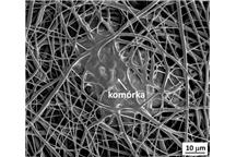 Komórka kości wrastająca w nanowłókniste podłoże