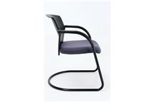 praiston-krzeslo-na-plozie-dauphin-artifex-5217 (4).JPG