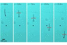 Nanorobot naśladujący plemnik Nanorobot naśladujący plemnik