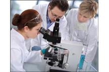 Kluczem do zagadki Alzheimera mogą być białka prionowe Kluczem do zagadki Alzheimera mogą być białka prionowe