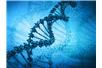 Doping genowy naśladuje terapię genową