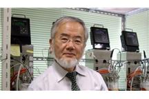 Yoshinori Ohsumi pracuje w Tokio Institute of Technology Yoshinori Ohsumi pracuje w Tokio Institute of Technology