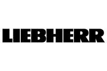Anestezjologia i medycyna ogólna: Liebherr